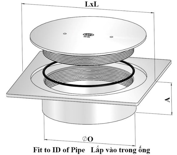 Thông tắc sàn COAS