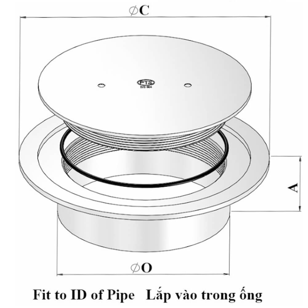 Thông tắc sàn COA